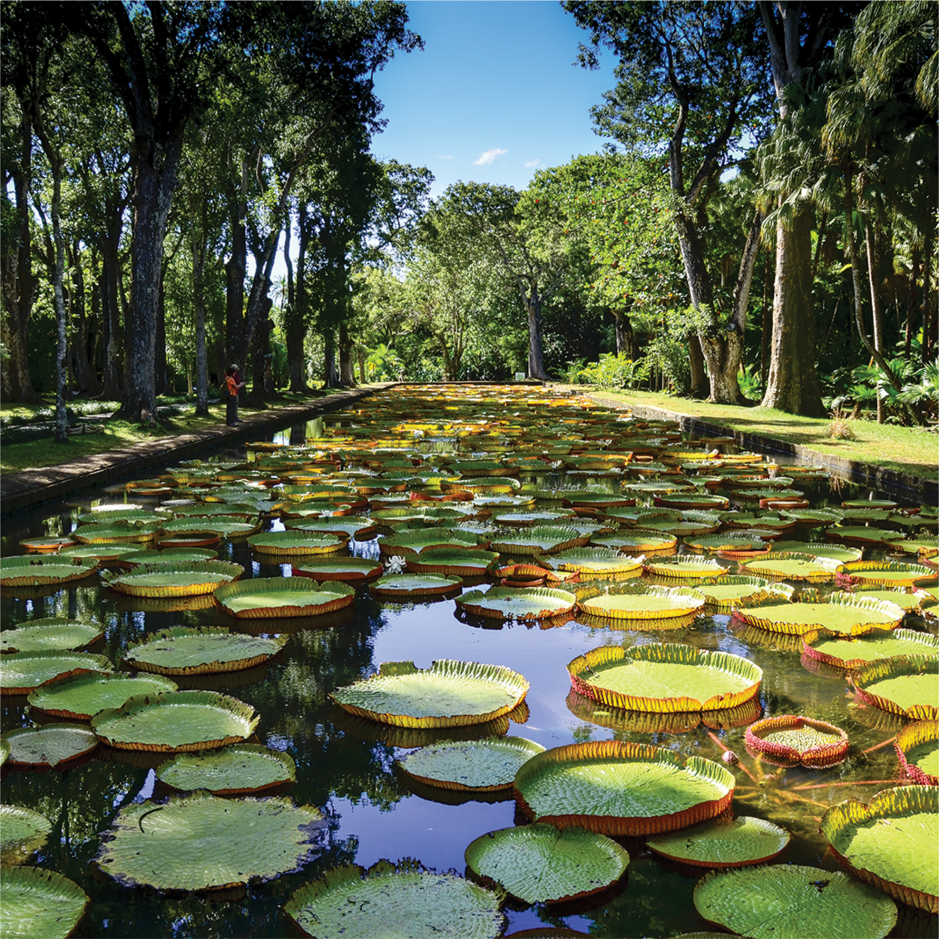 Mauritius